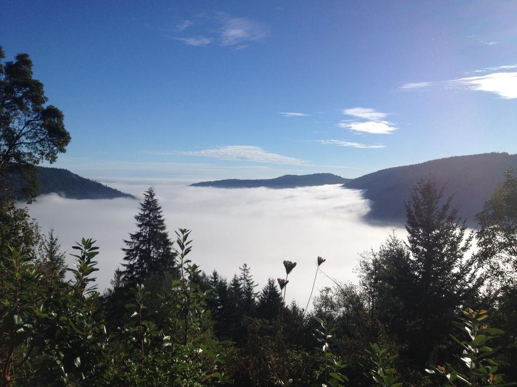 Moon Water Lodge Malahat Quarto foto